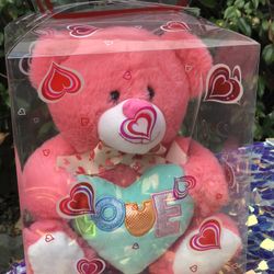 Teddy Bear In Box Easter/pascua