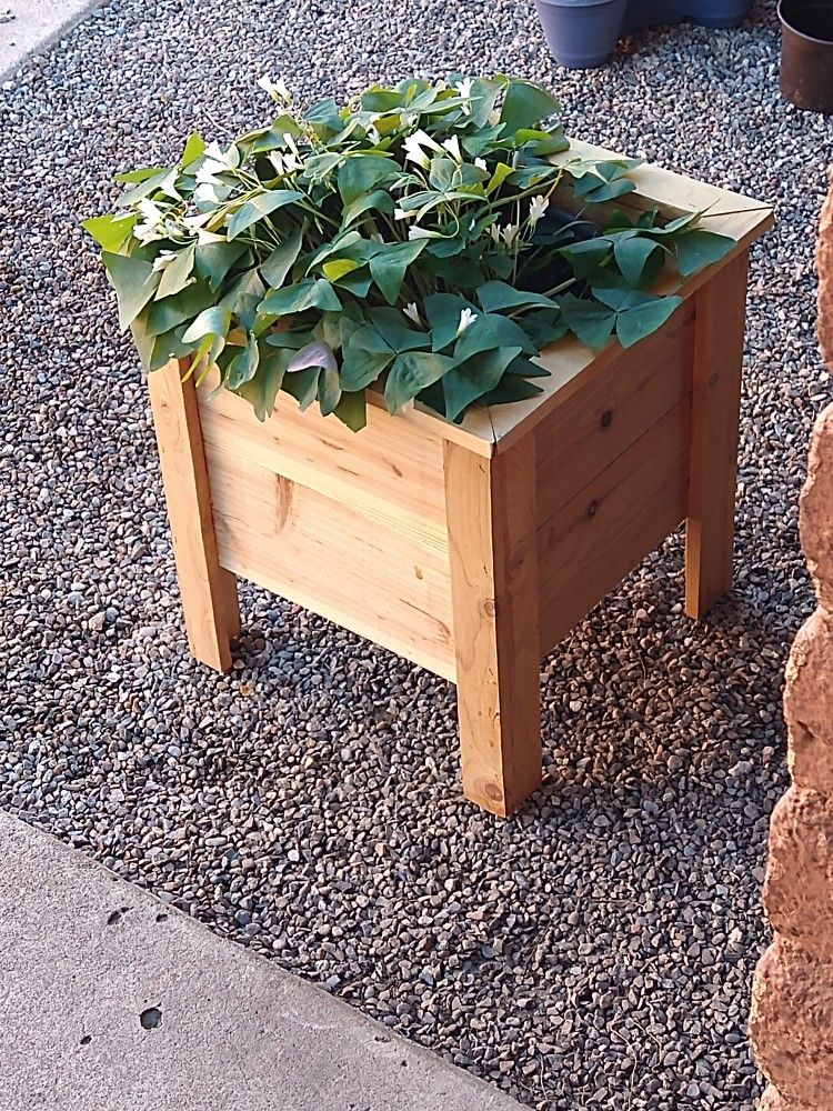 Planter Box Made From Cedar Wood