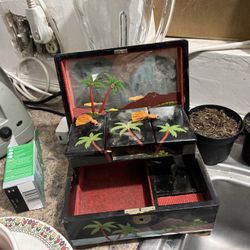 Old Hawaiian Jewelry box music box
