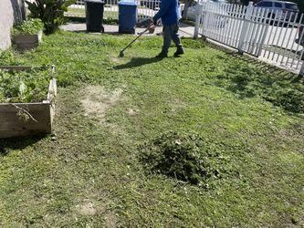 Jardinero 
