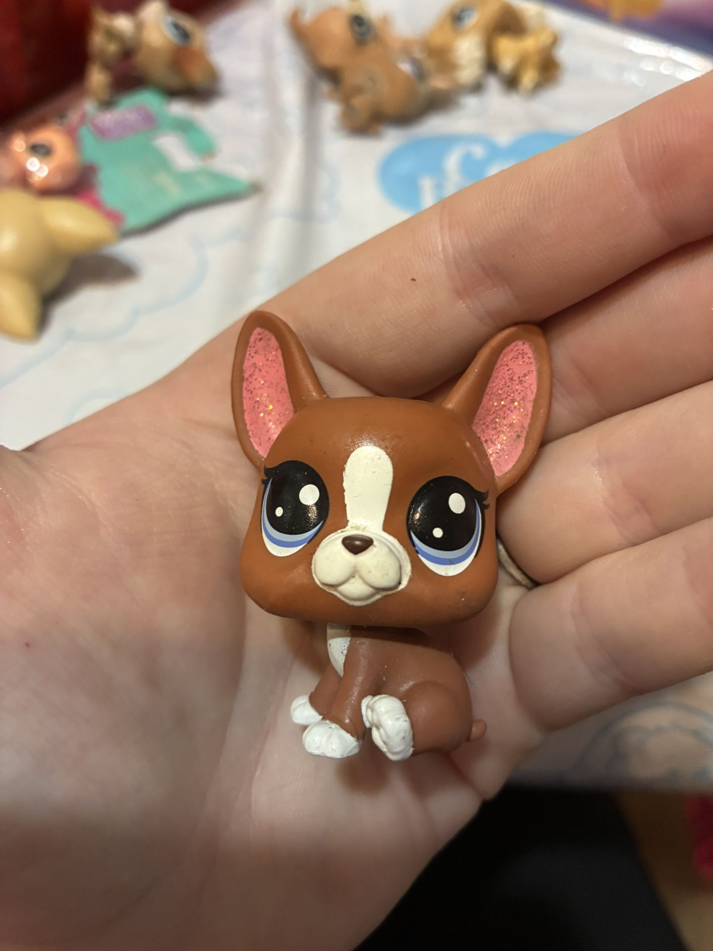 LPS Boston terrier, Roxy, glittery