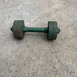 Single 25lb Dumbbell 