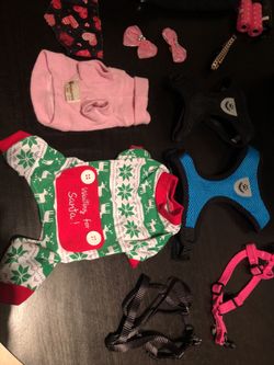 Small dog accessories