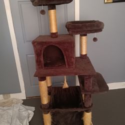 Cat Post