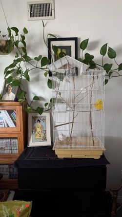Tall white bird cage