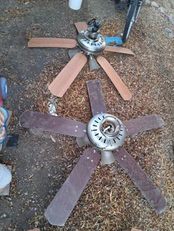 Ceiling fans