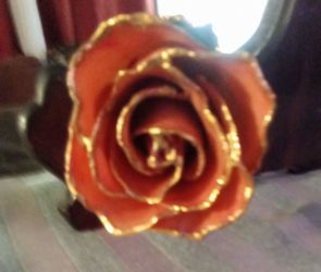 **24KT Forever Rose**