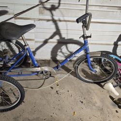 20 in tricycle foldable 