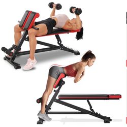 4 in 1 Roman Chair Flybird