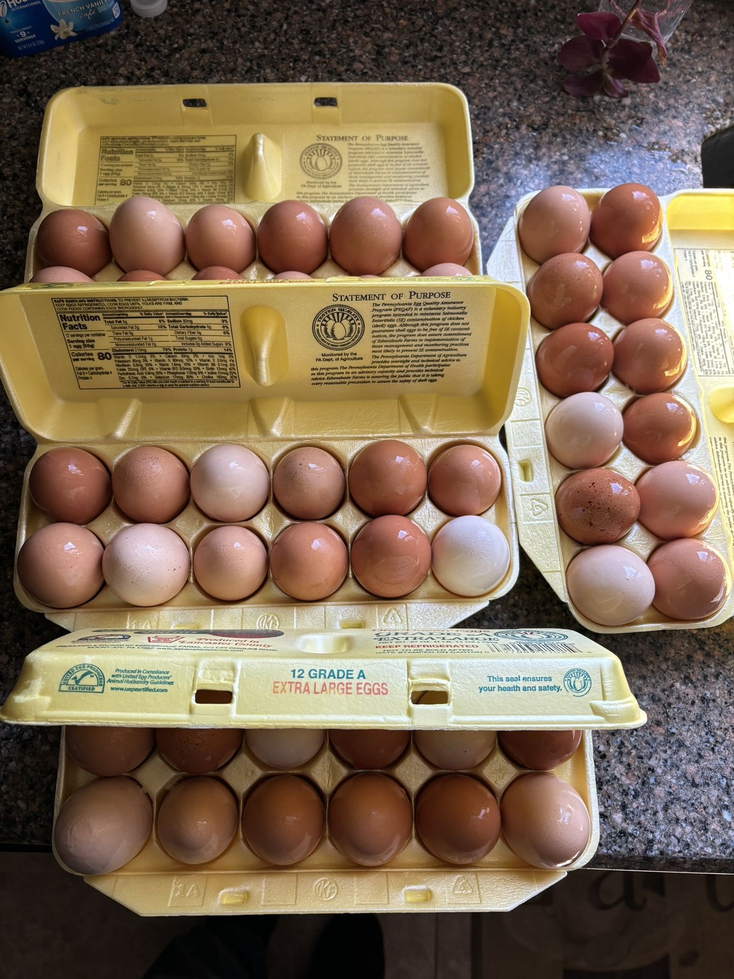 FRESH EGGS