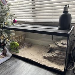 Bearded Dragon Tank, Lamp, And Supplies 