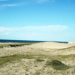 Prime Oceanfront Land for Sale in Taiba, Brazil