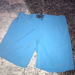 PATAGONIA Casual Beach Swim Board Shorts mens 36