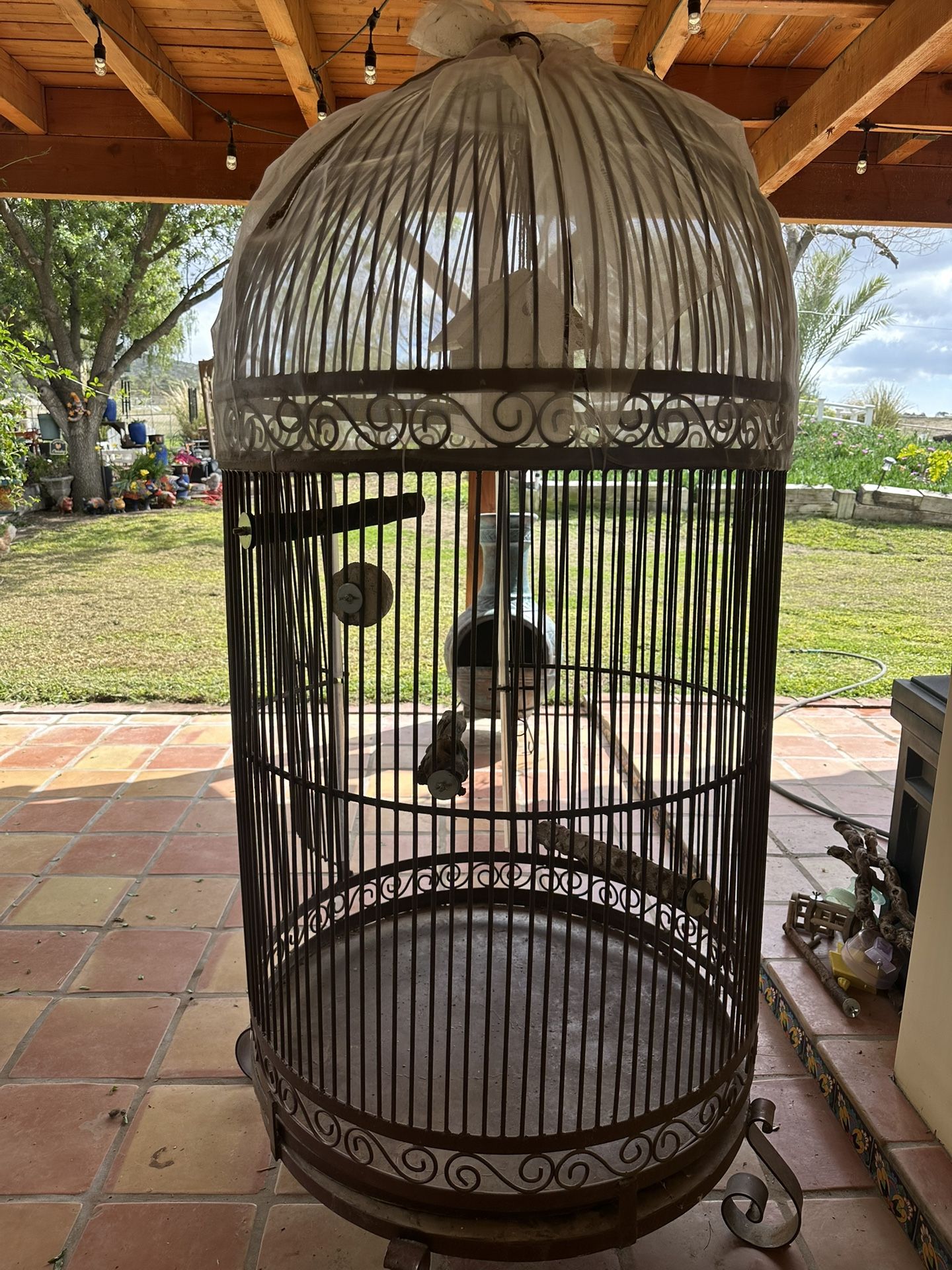 Beautiful Bird Cage