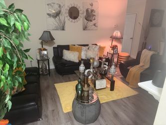 Living Room Couches – Great Condition