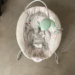 Baby Bouncer