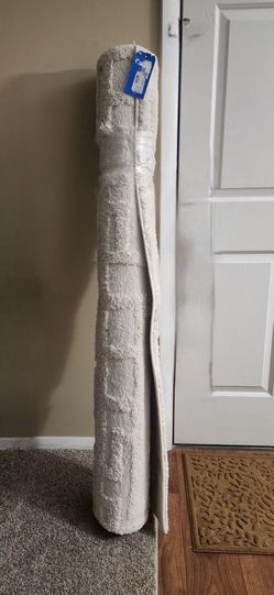 Brand New White/Cream Shag Rug – Soft & Modern – $45