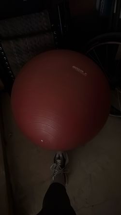 Bodyfit bosu ball