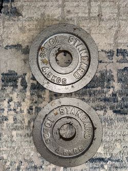 10 lbs weight plates