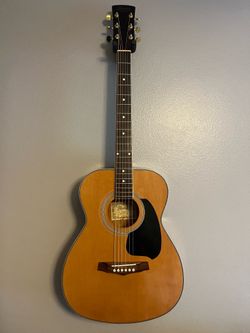 Ibanez PG4NT Acoustic Guitar