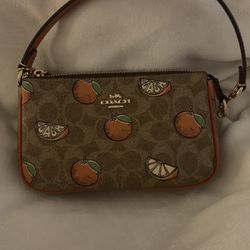 Designer Coach Bag Nolita 19 
