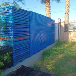 Plastic Pallets 