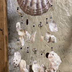 Seashell/Driftwood  Wind Chime