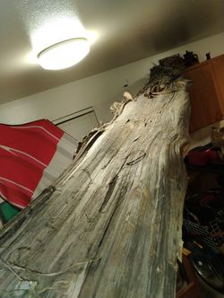 Rough Cut Bench Slabs 12 'X 14" No Time To Work Them Into A Show Piece 