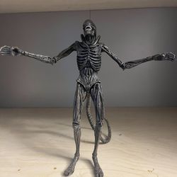 Protomorph