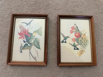 Vintage Framed John Gould Hummingbird Art Prints - Matching Pair