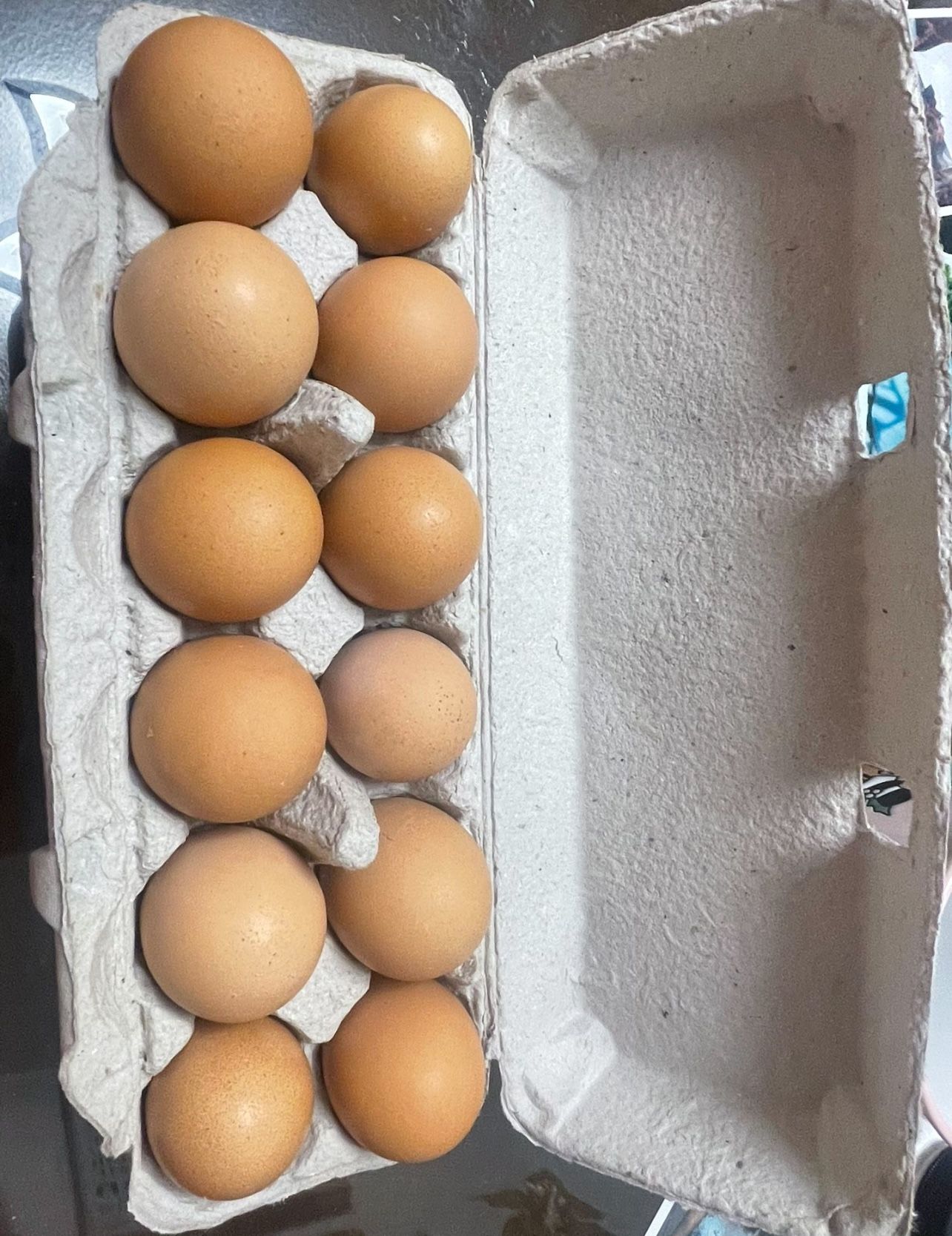 Fresh organic Eggs 🥚 
