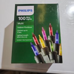 100 Multi-color Mini Lights 