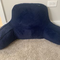 Blue Plush Study Buddy Pillow 
