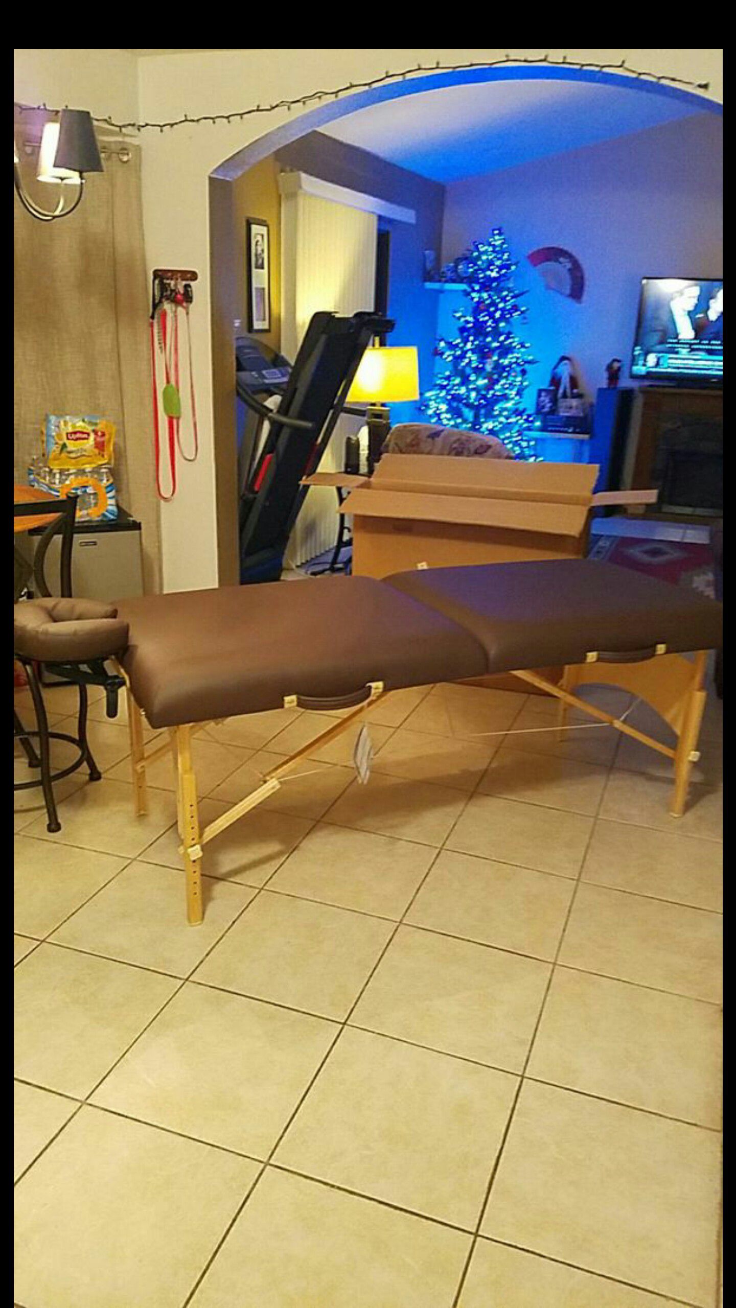 Earth Lite massage table