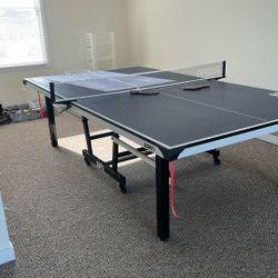 Ping Pong Table