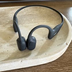 Shokz OpenRun Headphones
