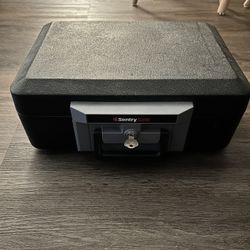Sentry Safe Fireproof Safe