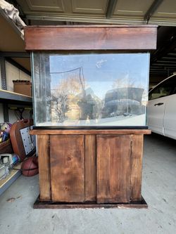 40 Gallon Fish Tank