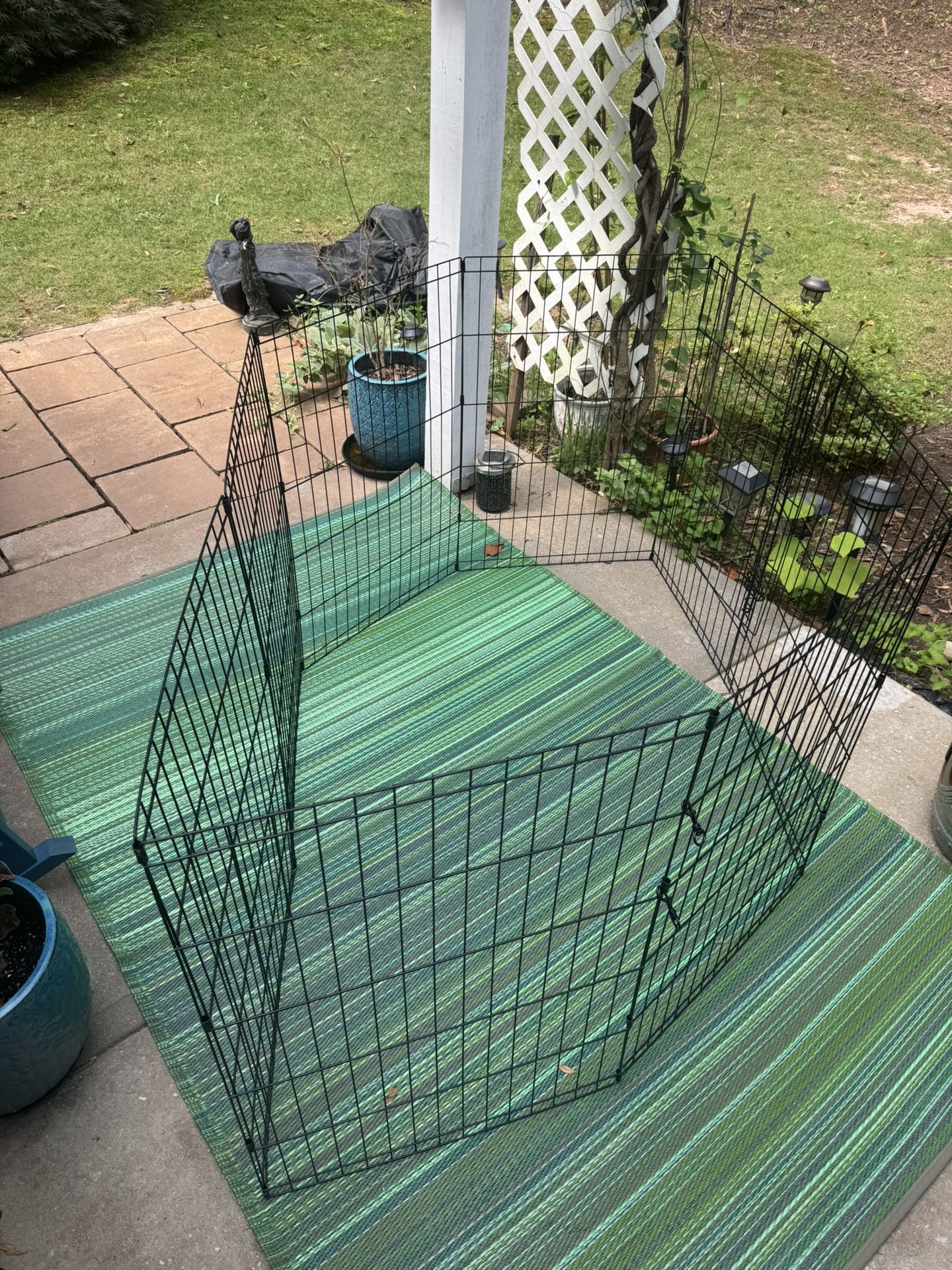 Open Dog Cage