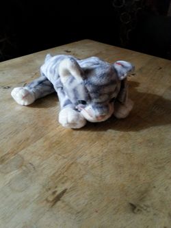Silver beanie baby cat