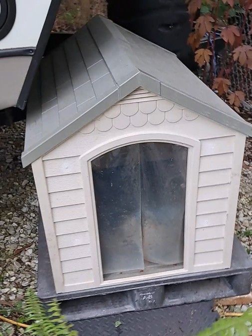 Dog House