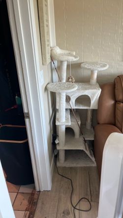 Kitty house
