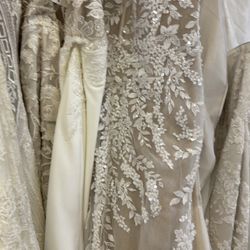 Find Your Perfect Gown👰