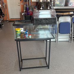 Turtle tank and setup 