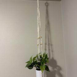 Set Of 2 Macrame Hangers - Fake Potted Plants Included