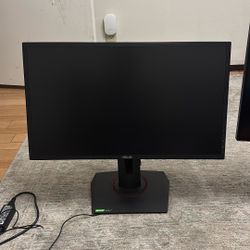 Two Monitors (1 Nvidia G-sync 24 Inch, 1 Thinkvision 28 Inch)