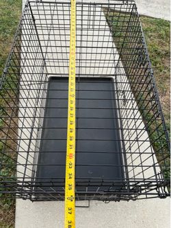 Dog Crate