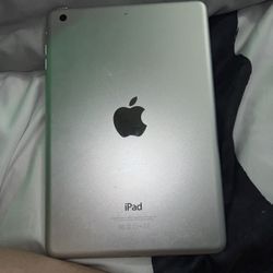 iPad(mini) 