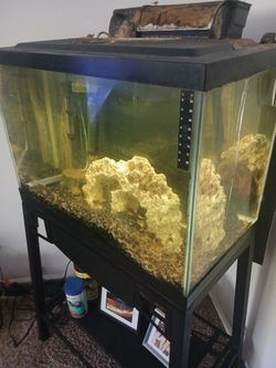 25 Gallon Aquarium