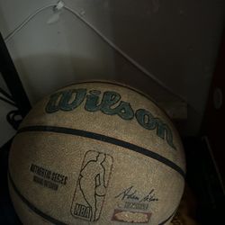 Wilson Basketball